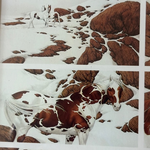 Bev Doolittle "Hide And Seek" Framed Print - Picture 5 of 16